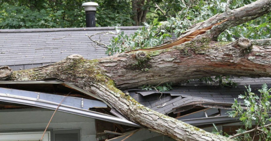 Tree fell on house after a storm in L'Assomption. It will be removed by Emondage L'Assomption.