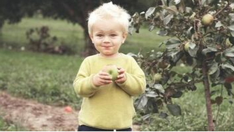 Child in Joliette eating an apple from an apple tree planted by Emondage L'Assomption.